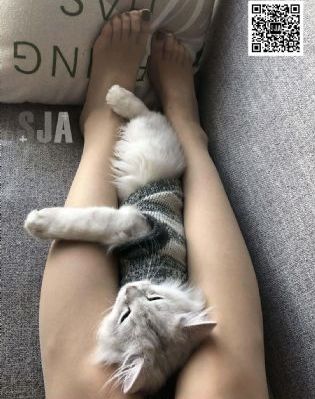 免费全部黄a片免费播放_高清高清在线