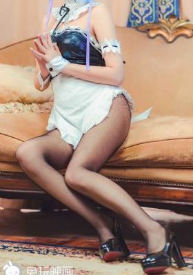 国产老相机哪个品牌好_DVD高清视频播放