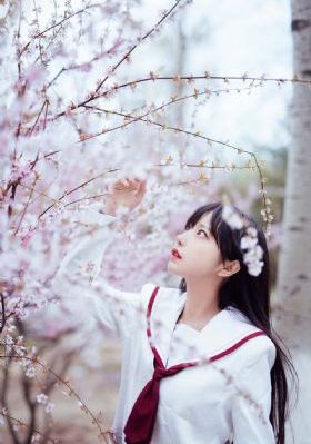 欧美一级片播放_1080P全集免费观看